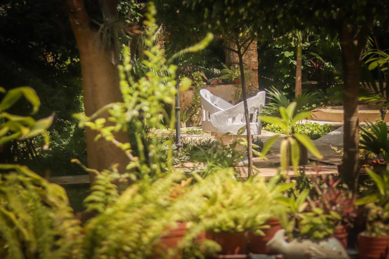 Casa Marlene Hotel วัลลาโดลิด ภายนอก รูปภาพ