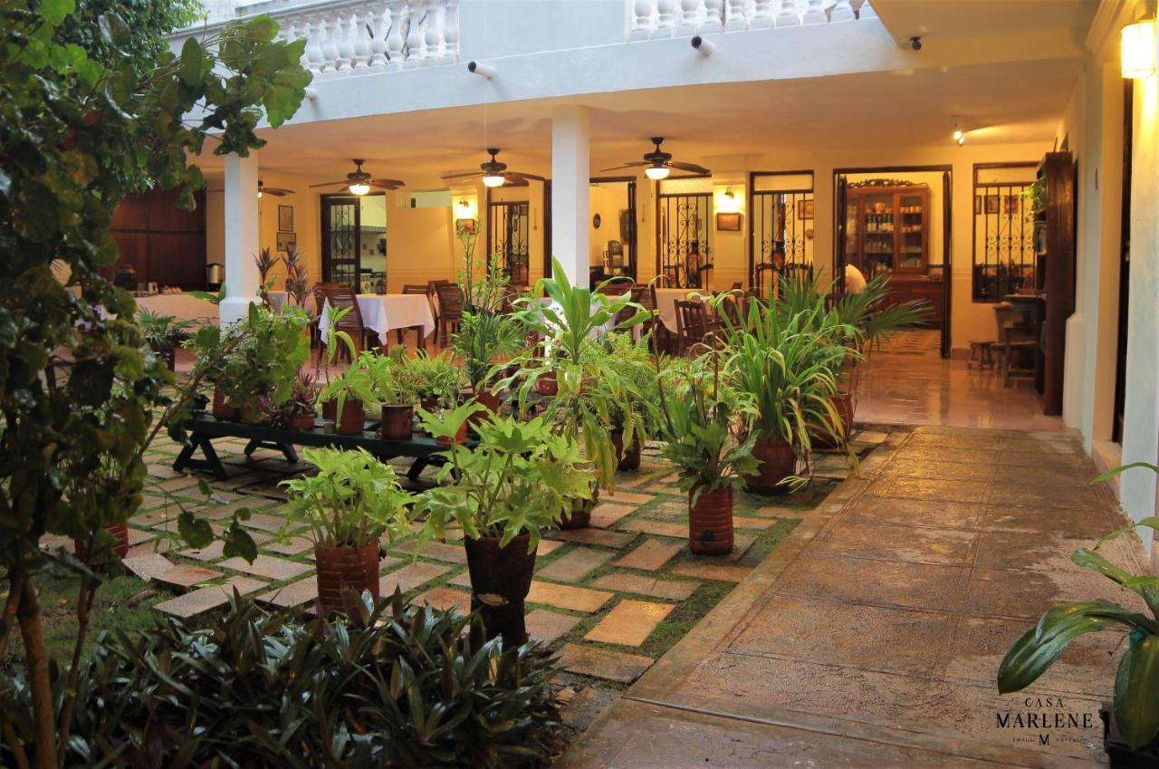 Casa Marlene Hotel วัลลาโดลิด ภายนอก รูปภาพ