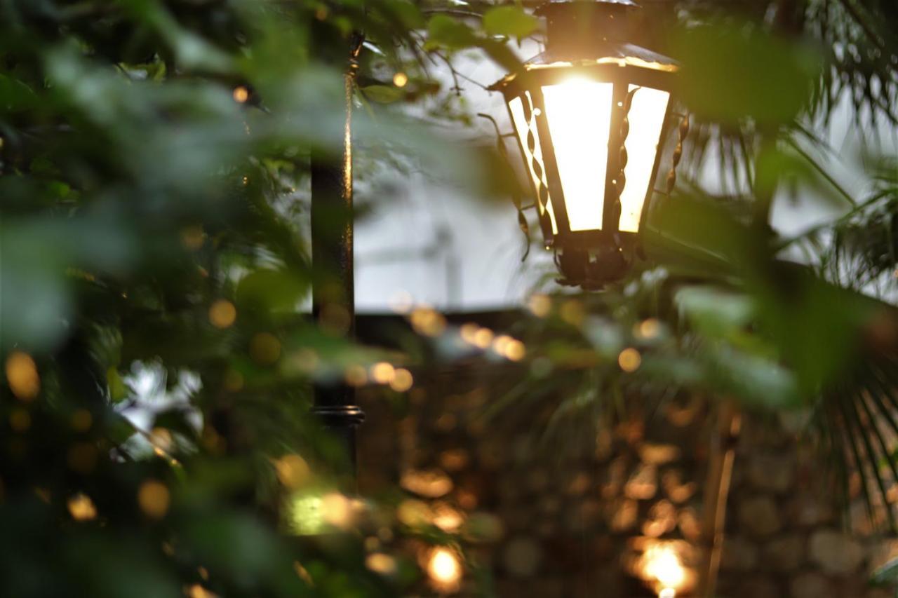 Casa Marlene Hotel วัลลาโดลิด ภายนอก รูปภาพ